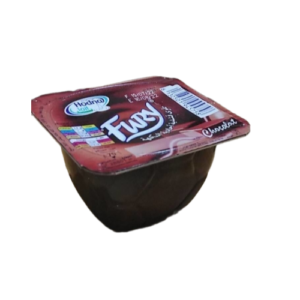 Yaourt Hodna Flania Flan Caramel 100 G حضنة فلان كراميل 100 غ