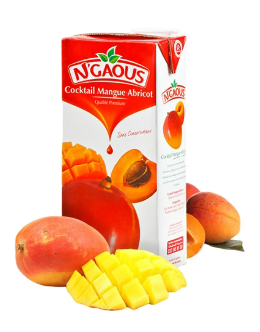 N’gaous Jus Coocktail Mangue Abricot 1 L