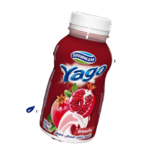 Yaourt Soummam Yago _ Grenadine 170 g