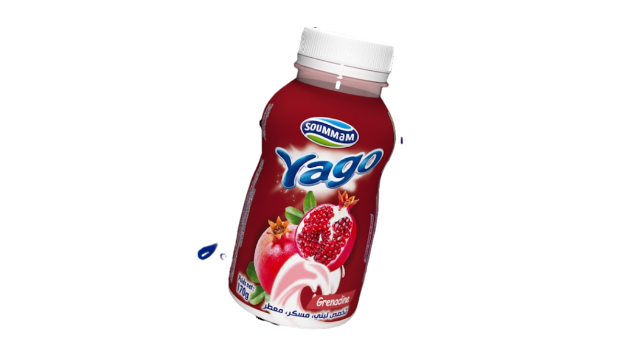 Yaourt Soummam Yago _ Grenadine 170 g