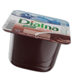Yaourt Soummam Dialna chocolat 100 G
