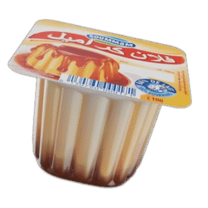 Yaourt Soummam Flan Caramel 100 g