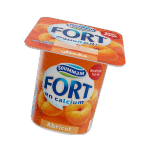 Yaourt Soummam Fort 100 G