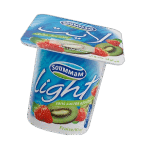 Yaourt Soummam Light 100 G