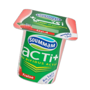 Yaourt Soummam ACTI 100 G