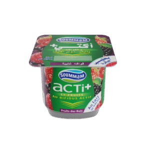 Yaourt Soummam ACTI 100 g