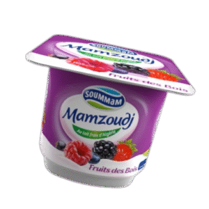 Yaourt Soummam Mamzoudj Fruit Des Bois 100 G