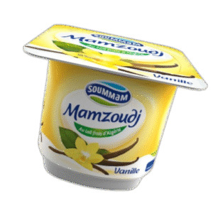 Yaourt Soummam Mamzoudj Vanille 100 G