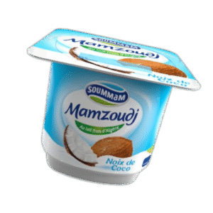 Yaourt Soummam Mamzoudj Noix De Coco 100 G