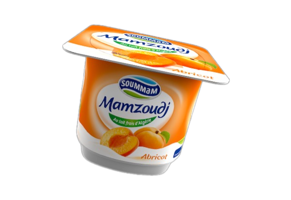 Yaourt Soummam Mamzoudj Abricot 100 G
