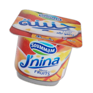 Yaourt Soummam J’nina _ Mangue 90g