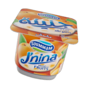 Yaourt Soummam J’nina _ Abricot 90 g