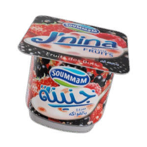 Yaourt Soummam J’nina _ Fruit des bois 90 g