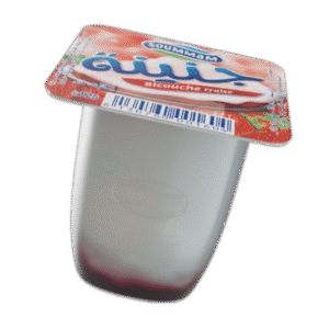 Yaourt Soummam J’nina bicouche _ Fraise 125 g