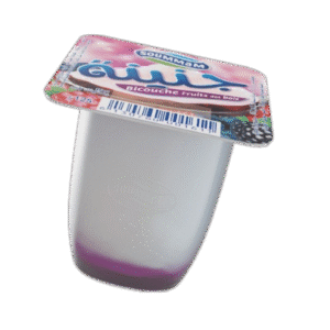Yaourt Soummam J’nina bicouche _ Fruits des Bois 125 g