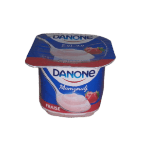 Yaourt DANONE Mamzoudj 90g