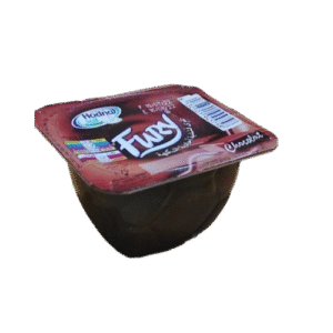 Yaourt Hodna Fury Chocolat 100g