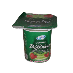 Yaourt Hodna Bifidus 100g