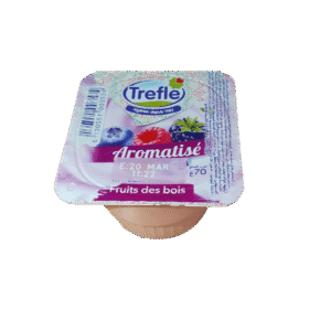 Yaourt DANONE Trèfle Aromatisé 70g