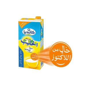 Candia Lait Sans Lactose 1 Litre