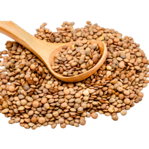 Lentilles Vrac Oaice 1 KG