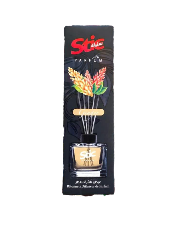 Stic batonnets diffuseur de parfum ginger 120ml