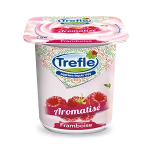Yaourt DANONE Trèfle Aromatisé 95g